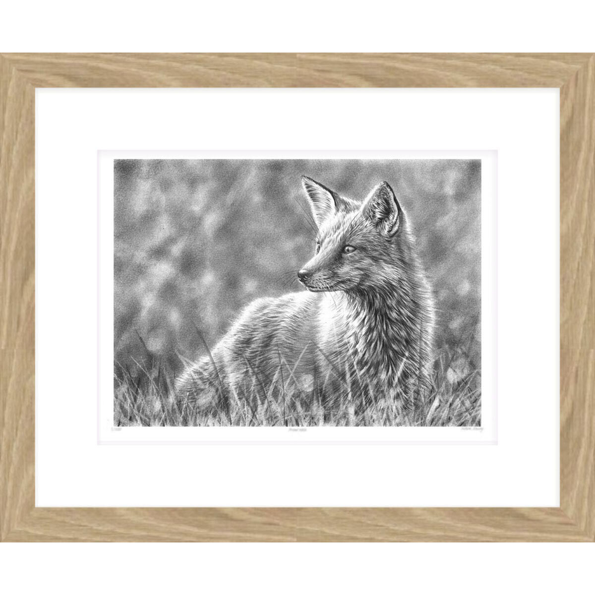 fox_in_grass_framed.jpg