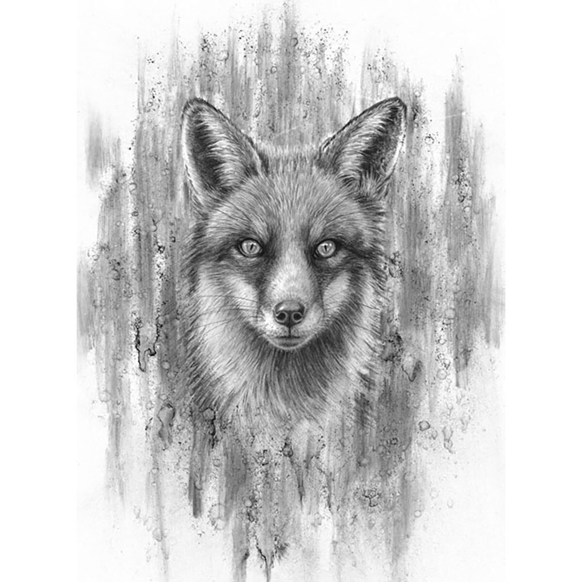 red_fox_II.jpg