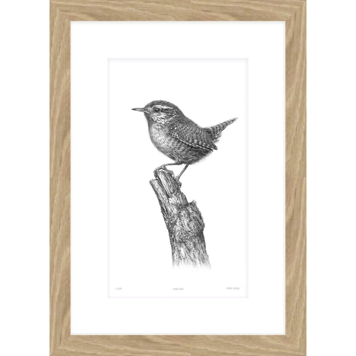 wren_on_branch_framed.jpg