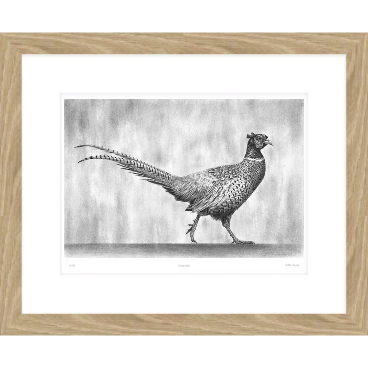 strutting_pheasant_III_framed.jpg