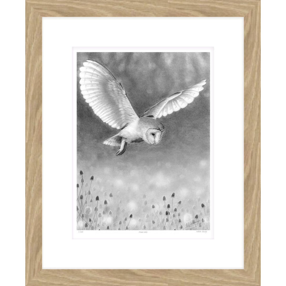 Barn_Owl_Hunting_framed.jpg