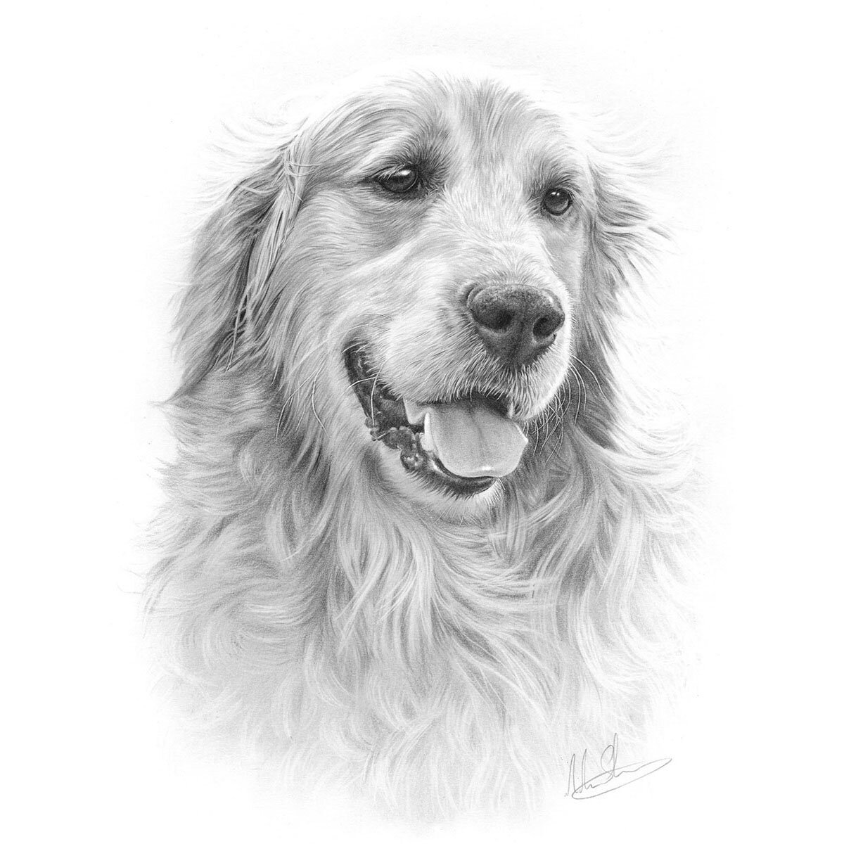 Discover Art with Sandra - Art Workshops to Go - How to Draw Dogs -  Complicated Fur Golden Retriever (updated) on Vimeo