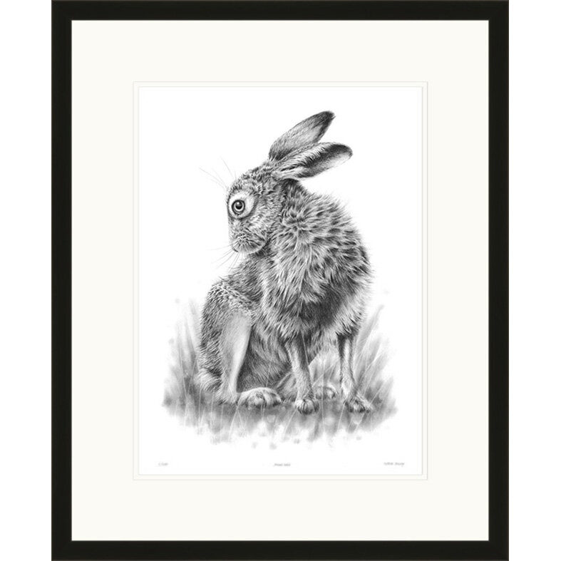 grooming_hare_black_frame.jpg