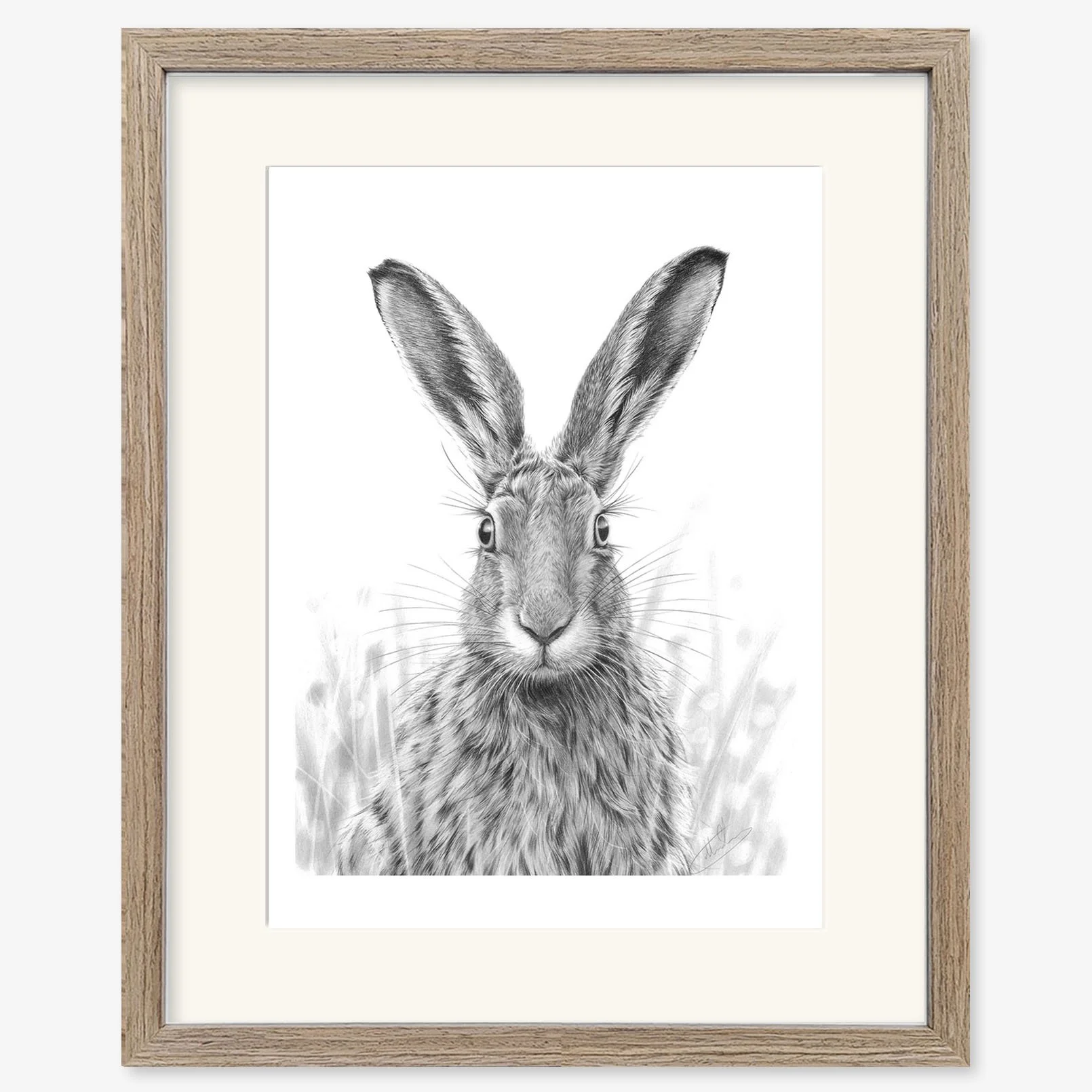 Alert_Hare_II_walnut.jpg