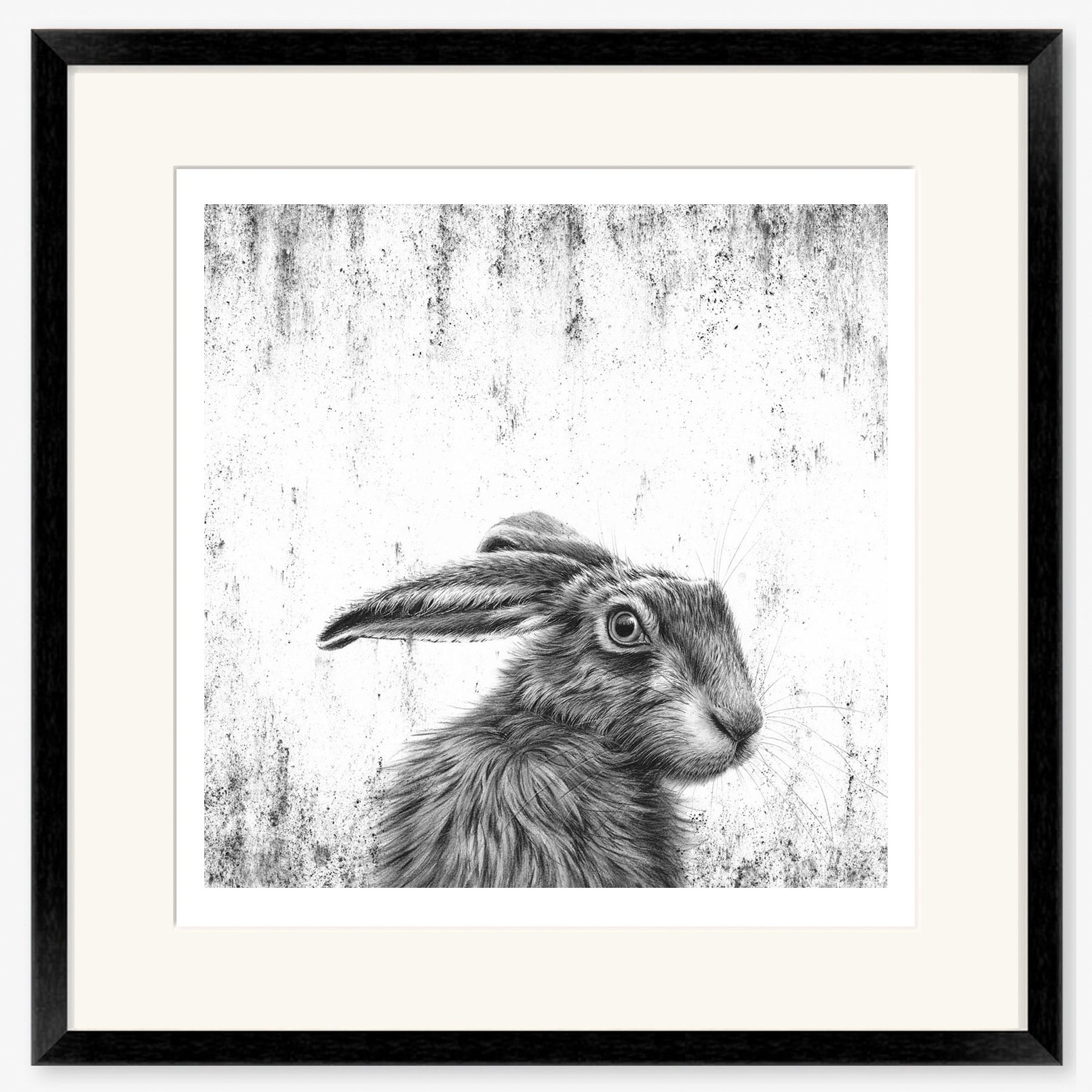 hare_Watching_I_black.jpg