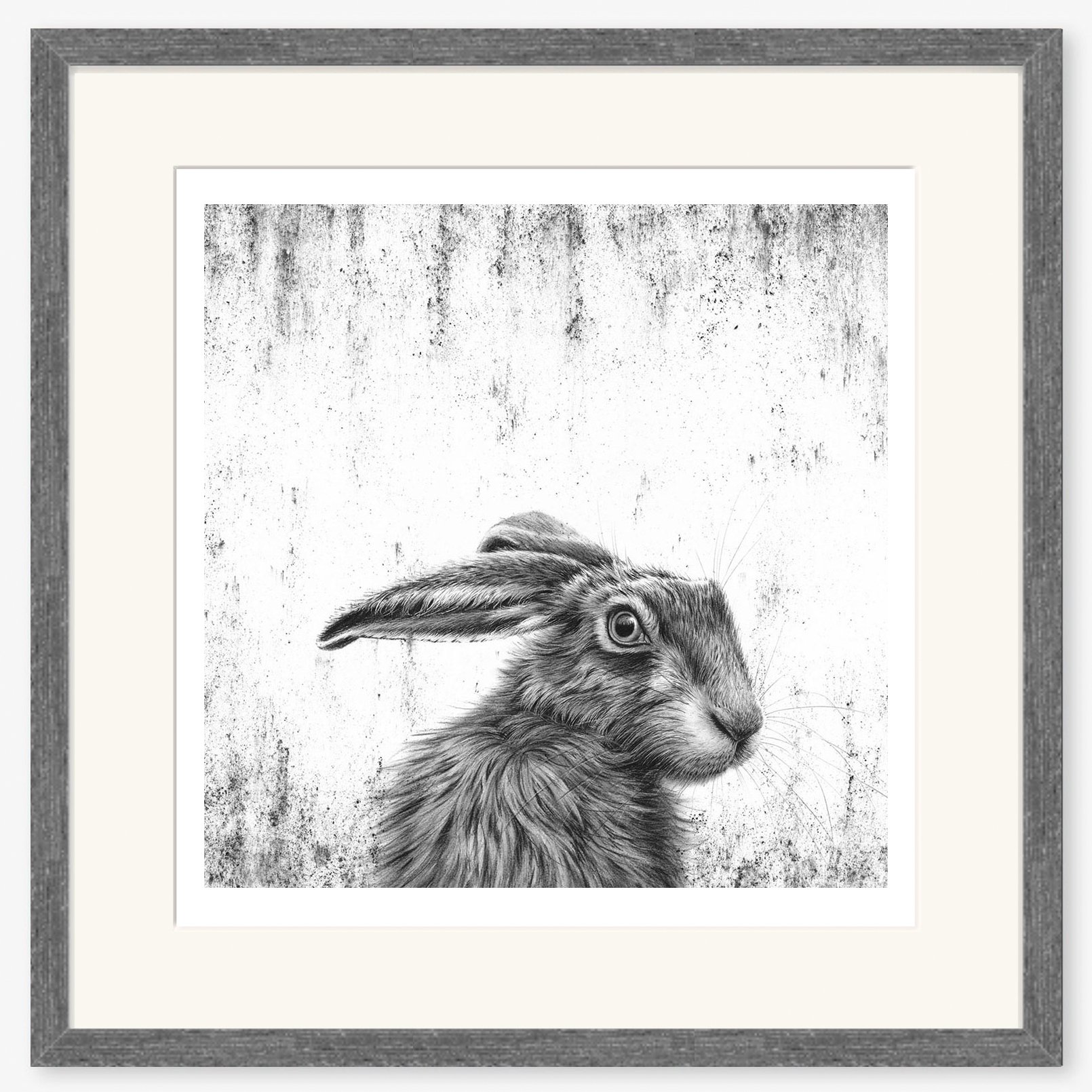 hare_Watching_I_charcoal.jpg