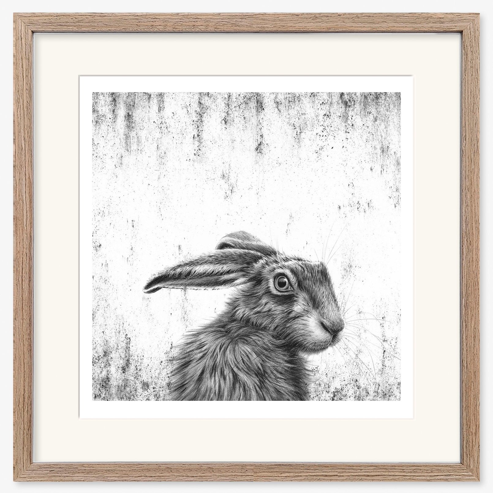 hare_Watching_I_walnut.jpg