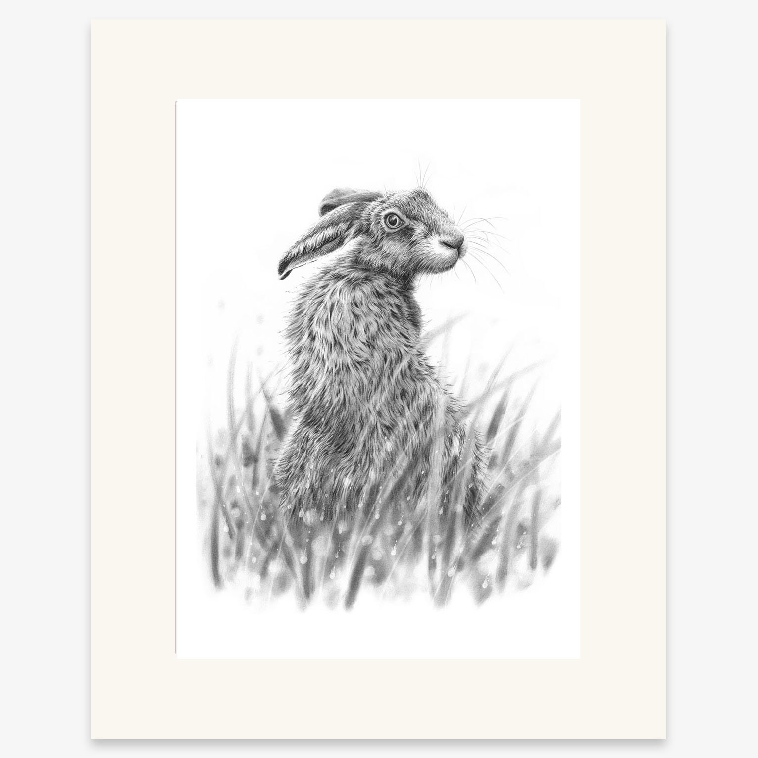 hare-looking-back_mounted.jpg