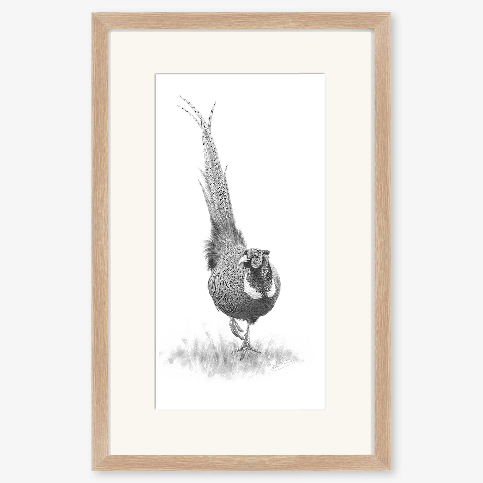 pheasant_oak.jpg