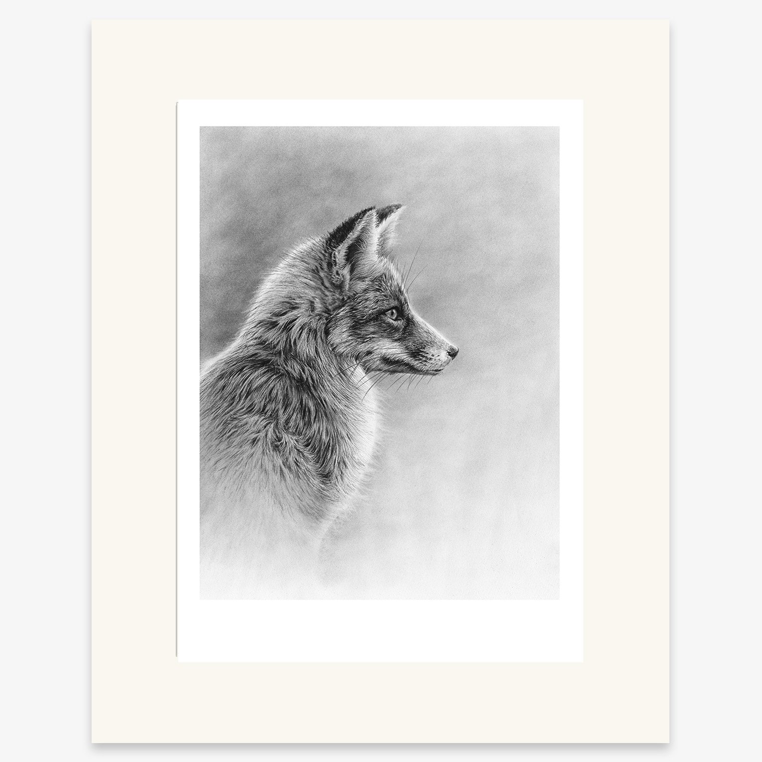 fox_profile_II_mounted.jpg