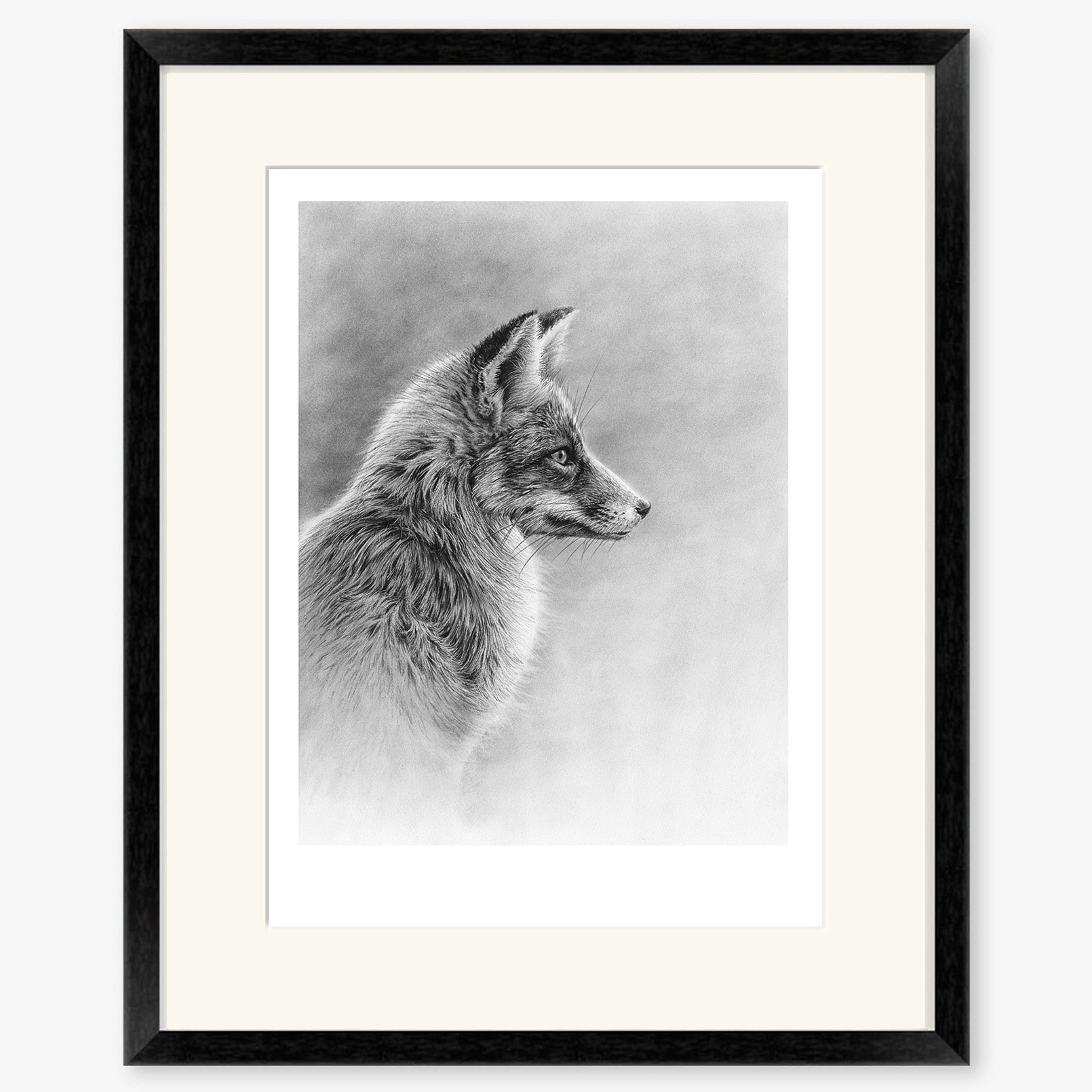 fox_profile_II_black.jpg