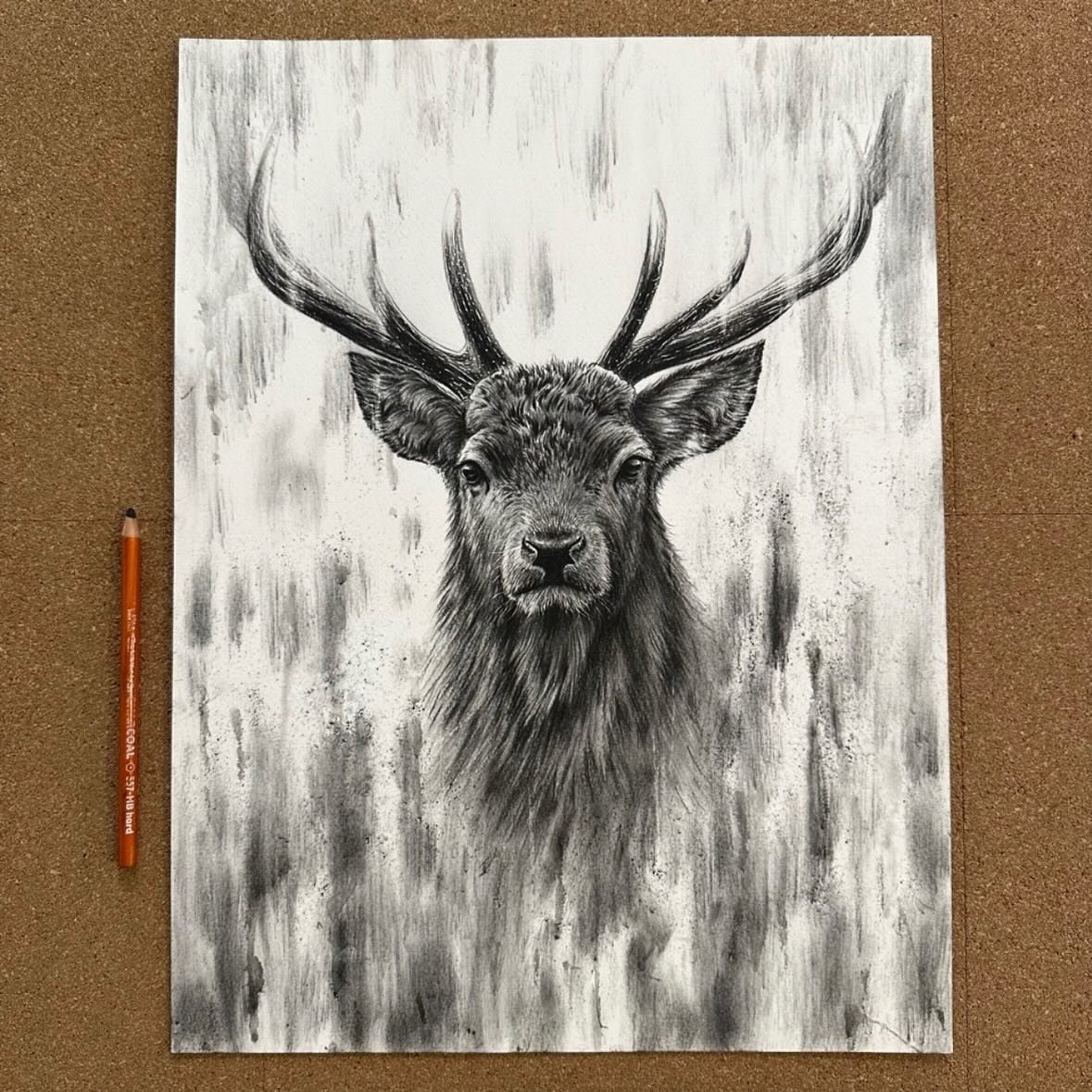 The finished stag. I might float mount this one when I frame it on Tuesday.