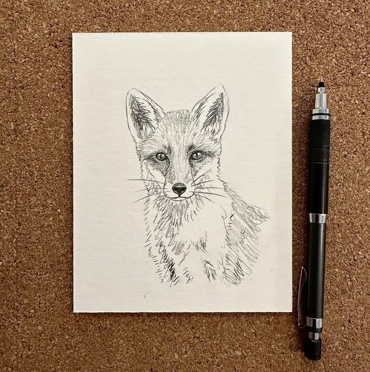 Sketching another fox to hopefully start working on this weekend