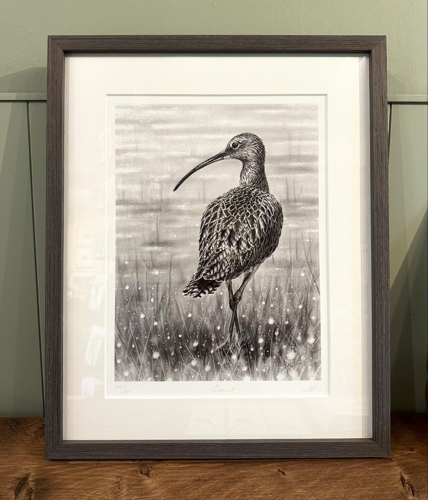 &lsquo;Curlew&rsquo; framed in a charcoal grey frame from @larsonjuhluk. I don&rsquo;t think I&rsquo;ve used this frame for the curlew before but it works well.