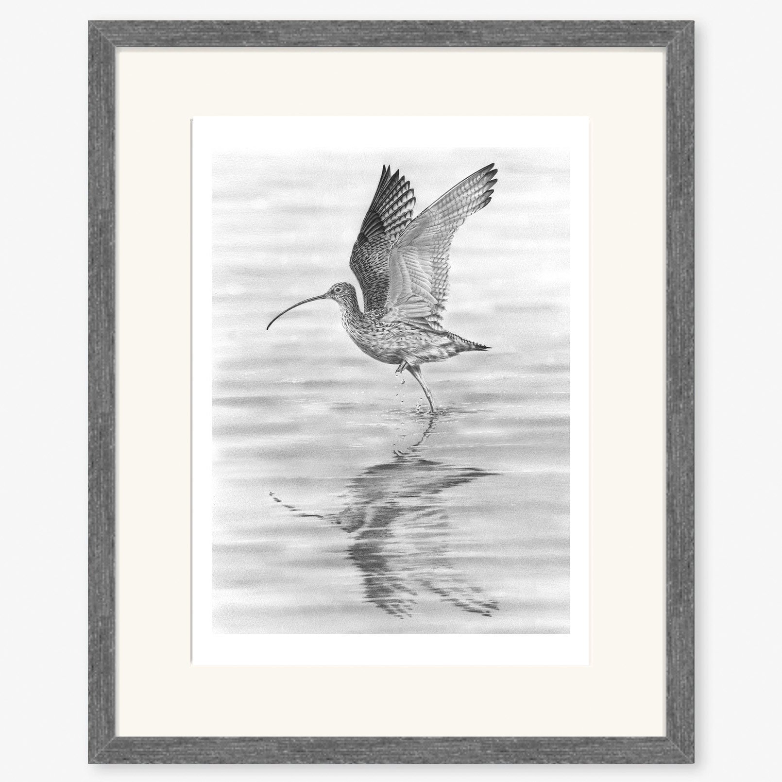 curlew_taking_flight_charcoal.jpg