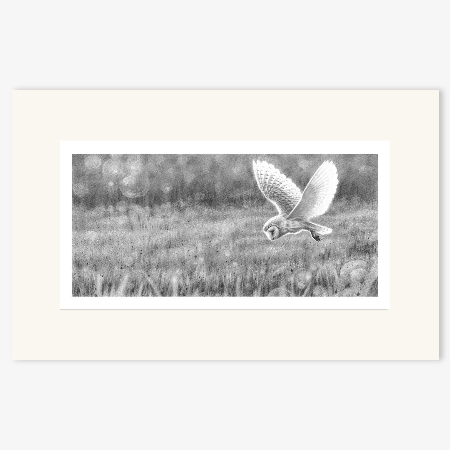 Barn_Owl_Hunting_II_mounted.jpg