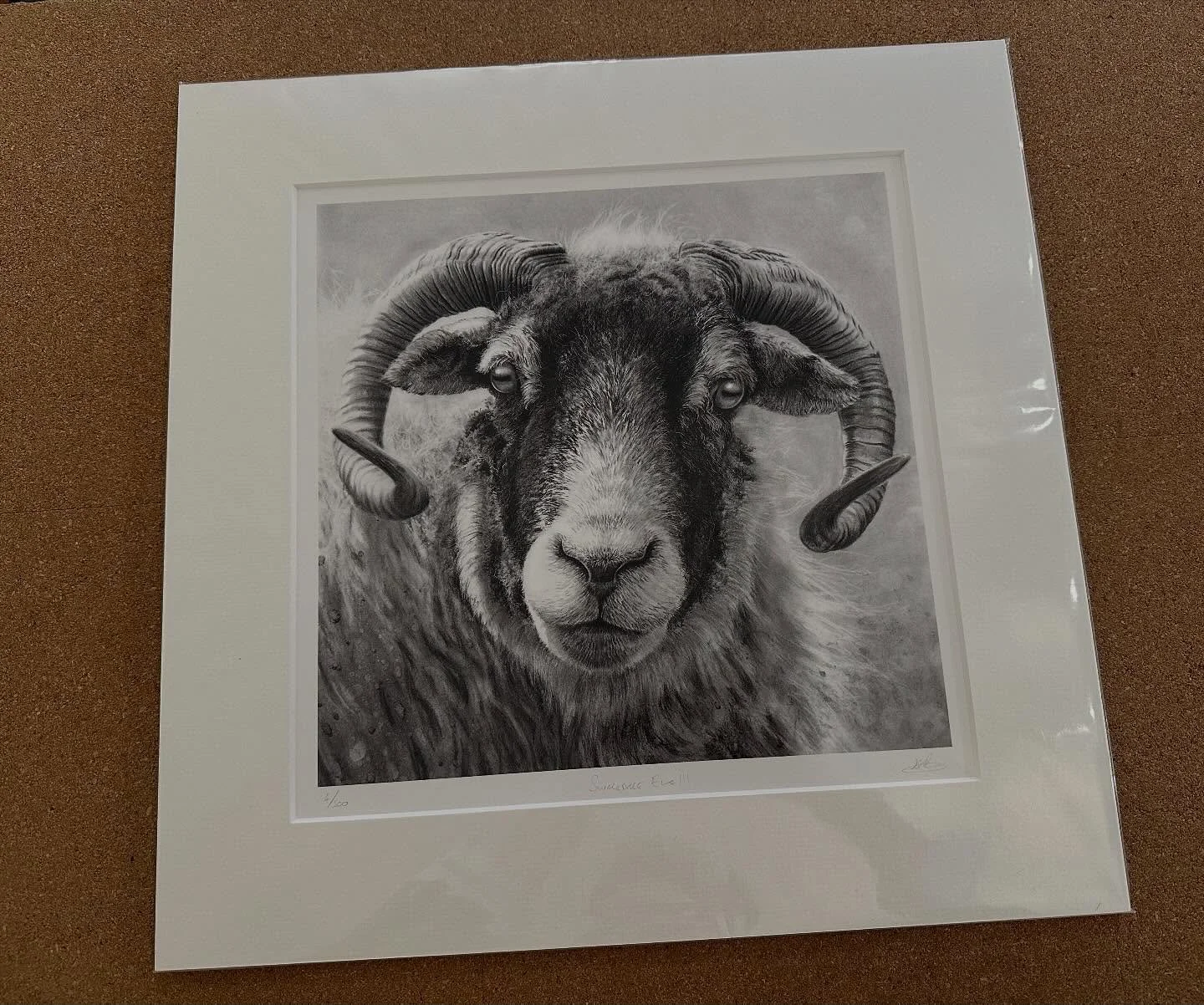 Just upping the number of sheep prints in the gallery ahead of this weekend&rsquo;s Masham Sheep Fair.