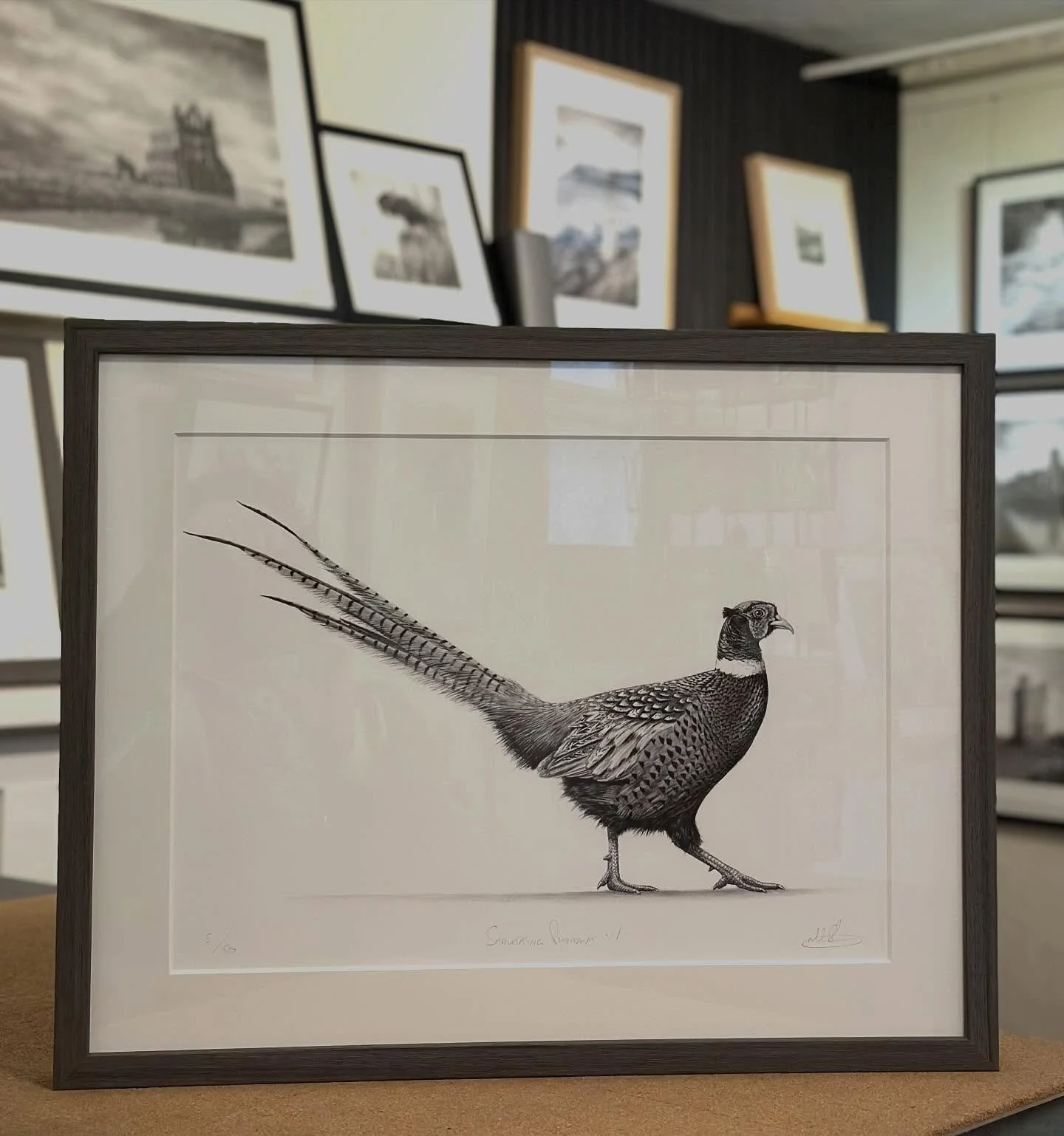 &ldquo;Strutting Pheasant IV&rdquo; limited edition print in a charcoal moulding.
