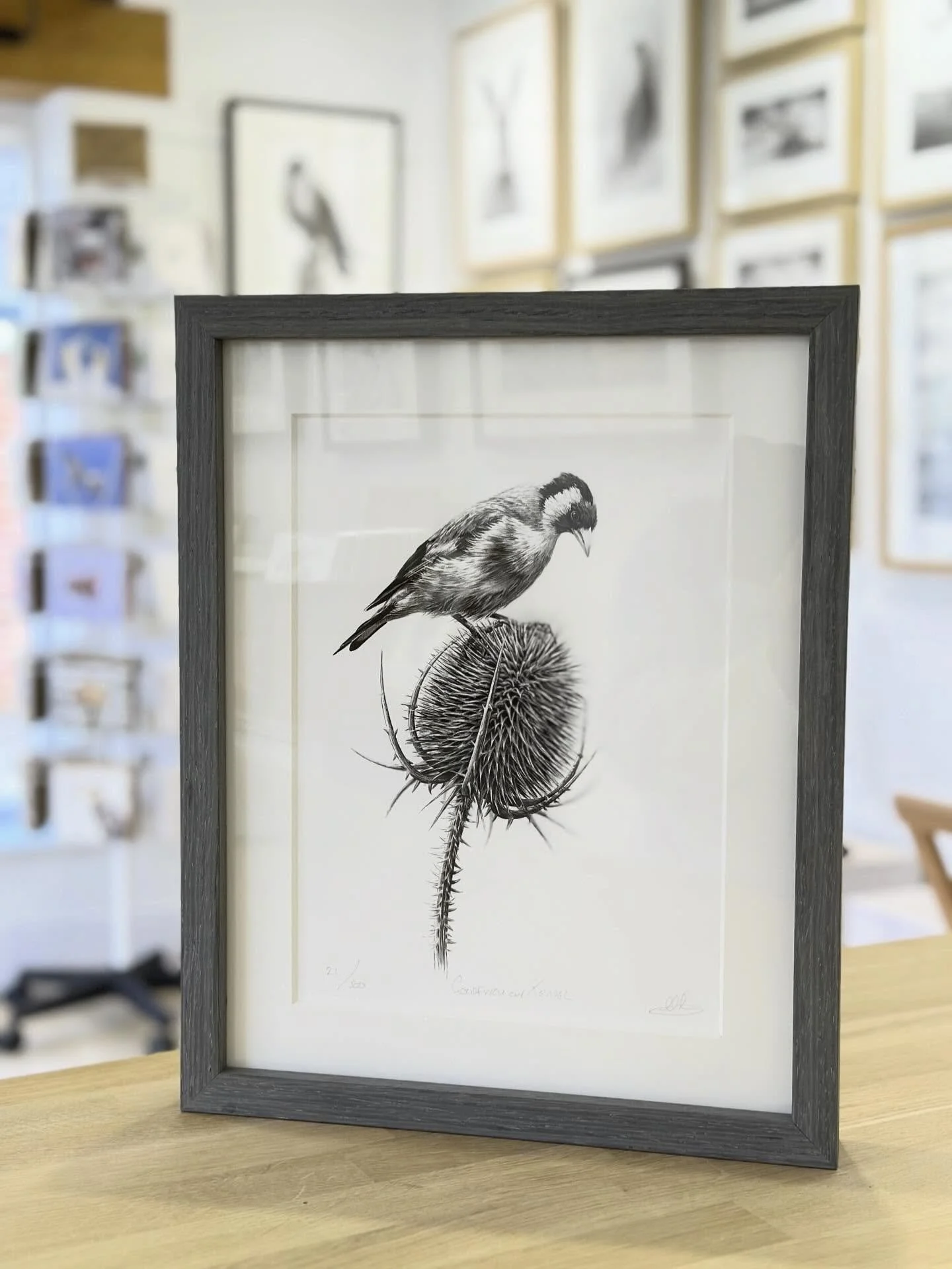 &lsquo;Goldfinch on Teasel&rsquo; limited edition print framed in a charcoal moulding.