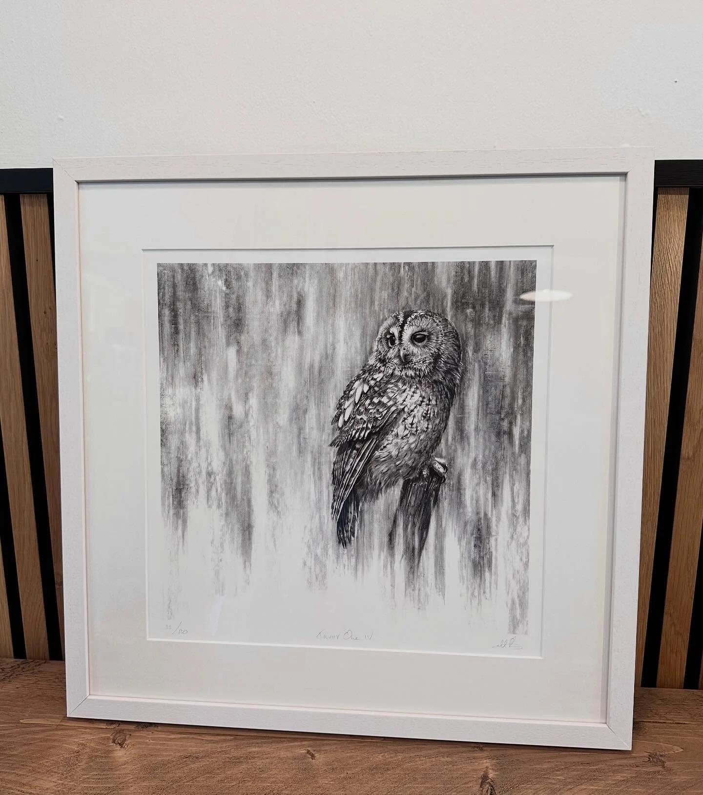 ‘Tawny Owl IV’ limited edition print from an original charcoal drawing