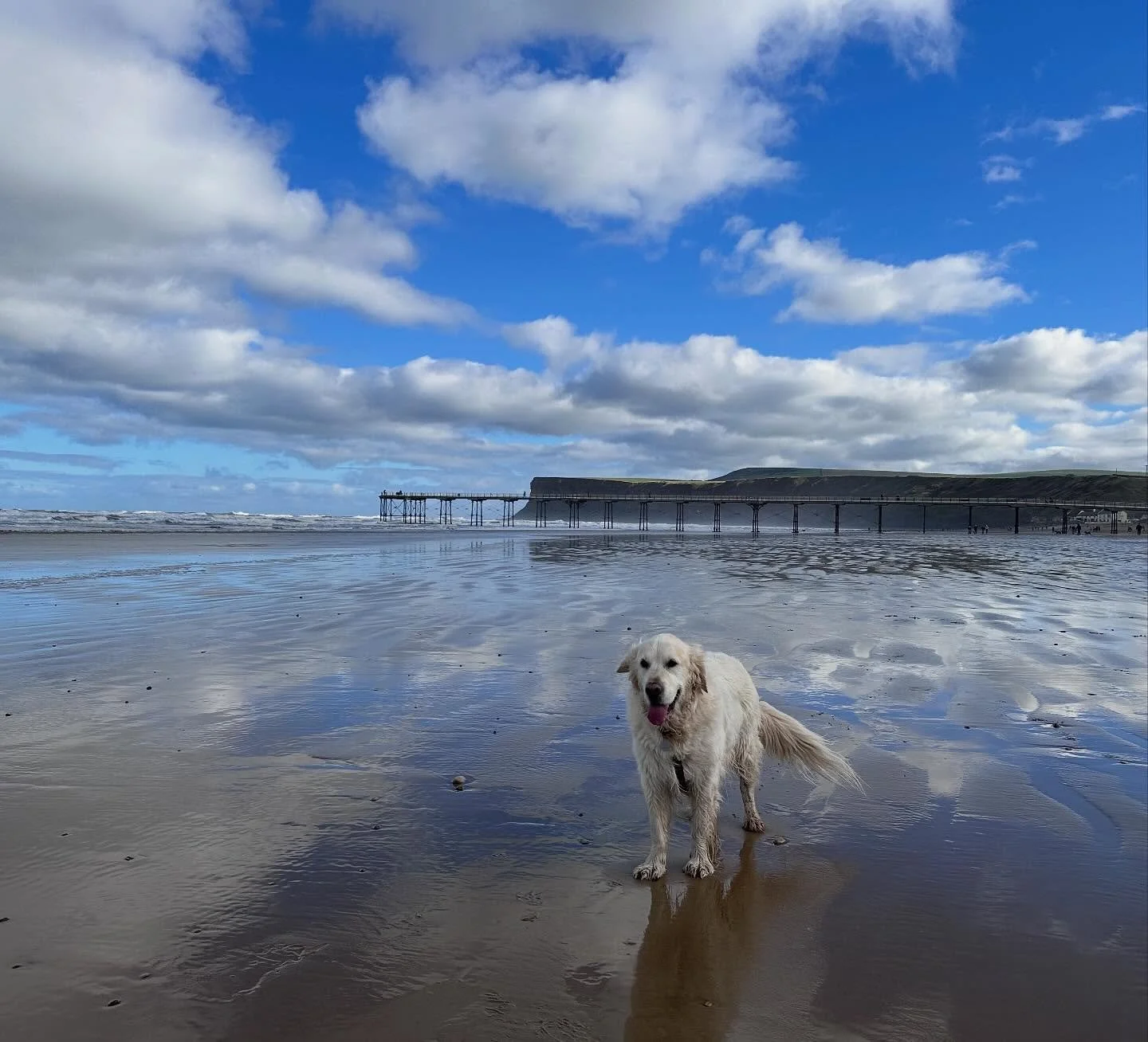 A lovely day off at….?