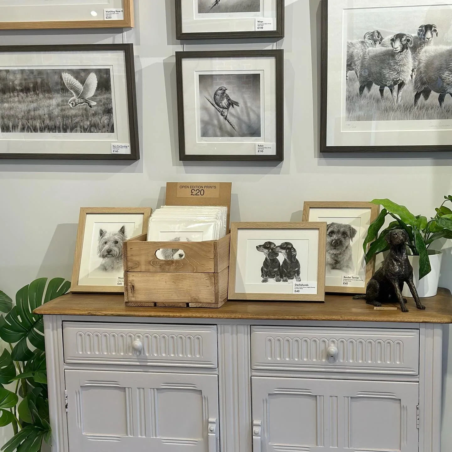 We have an extensive range of 38 dog prints, featuring breeds from Airedale Terriers and Basset Hounds to Whippets and Yorkshire Terriers.  These prints are available as mounted or framed prints, or as greetings cards. Visit nolonstacey.com for the f