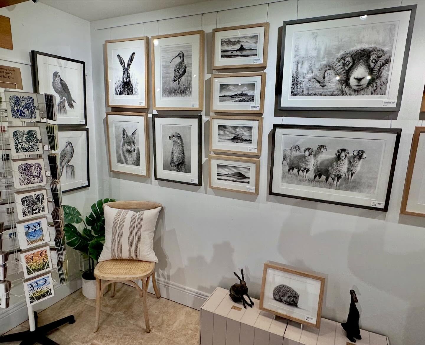 Here in Helmsley until 4 today.