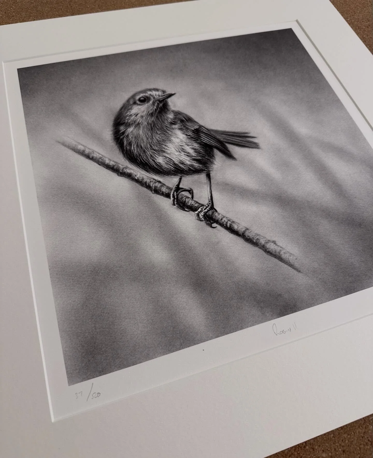 Mounting up a few large bird prints. &lsquo;Robin II&rsquo;, &lsquo;Wren&rsquo;, and &lsquo;Wren II&rsquo;