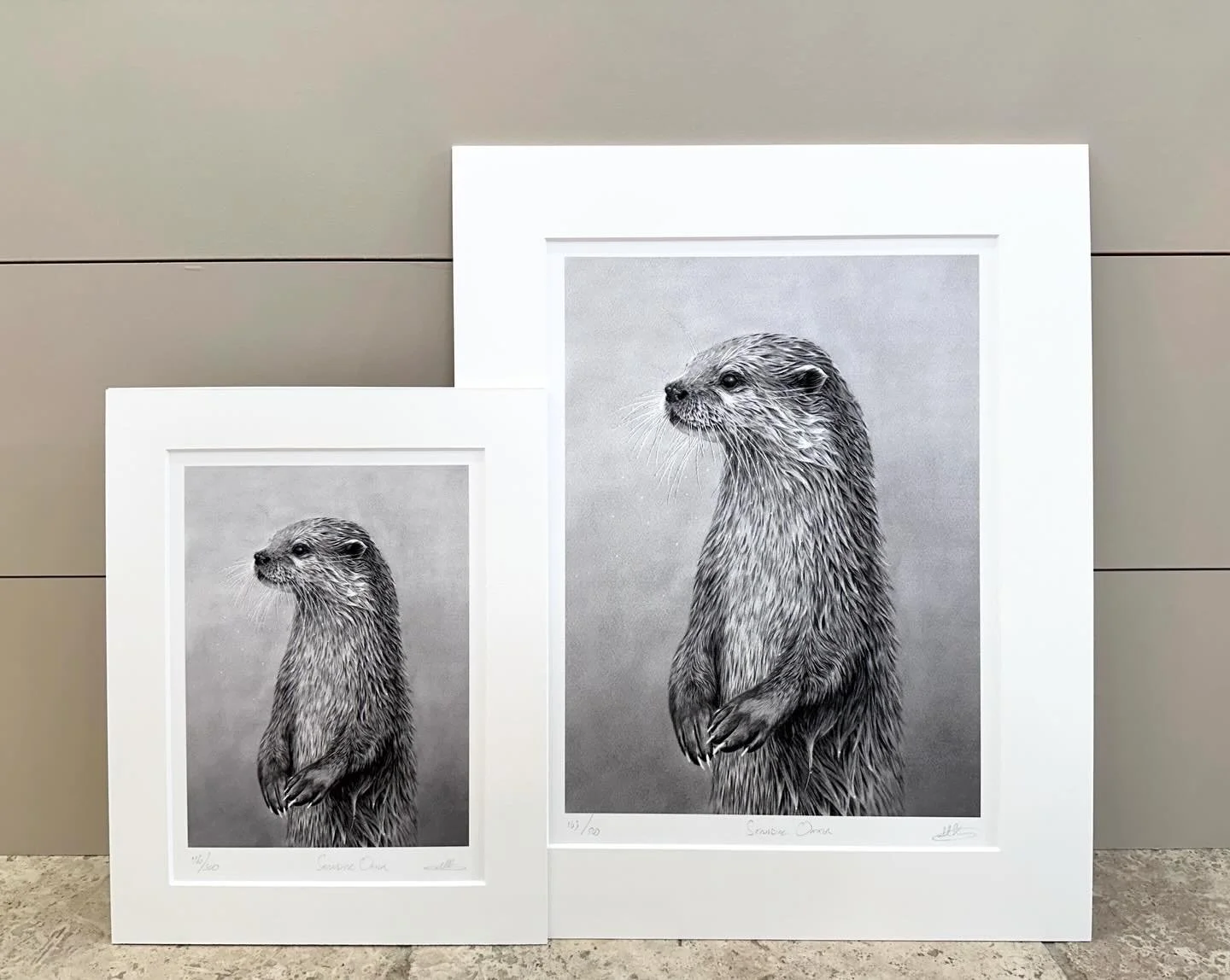 Standing Otter mounted limited edition print in two sizes - 11x14&rdquo; and 16x20&rdquo;