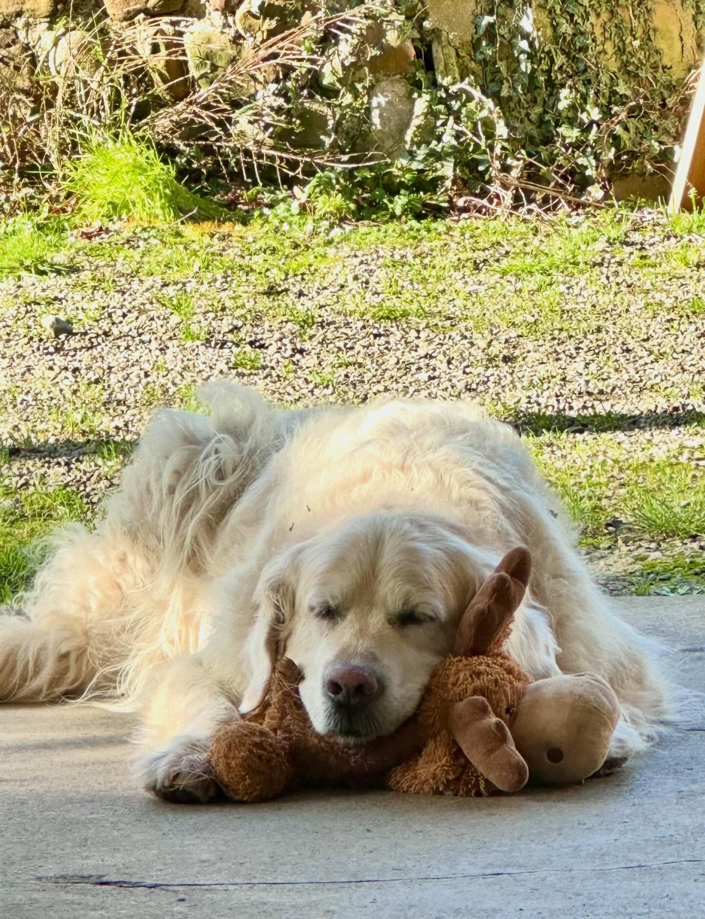 Someone&rsquo;s pleased the sun is out here in Masham!!