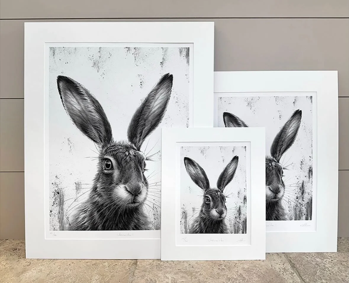 &lsquo;Watching Hare III&rsquo; limited edition print in 3 sizes - 11x14&rdquo;, 16x20&rdquo; and 20x25&rdquo;