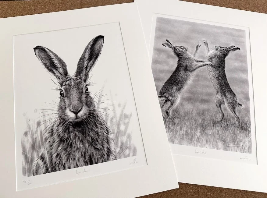 Mounting some replacement hare prints. 
Alert Hare
Boxing Hares
Running Hare
Hare Looking Back