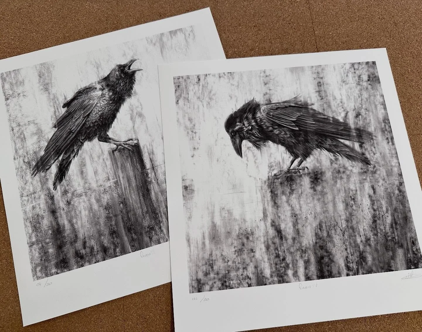 Framing up a couple of ravens this morning