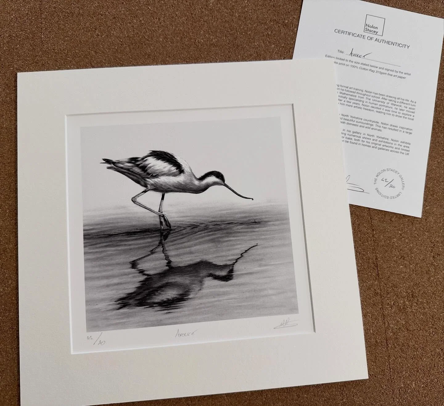 Avocet small 12x12&rdquo; limited edition print.