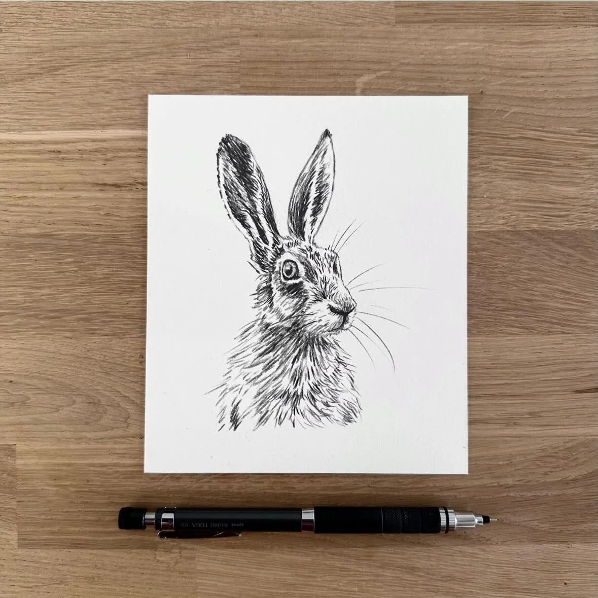 I figured it was time for another hare drawing. Here&rsquo;s the initial sketch