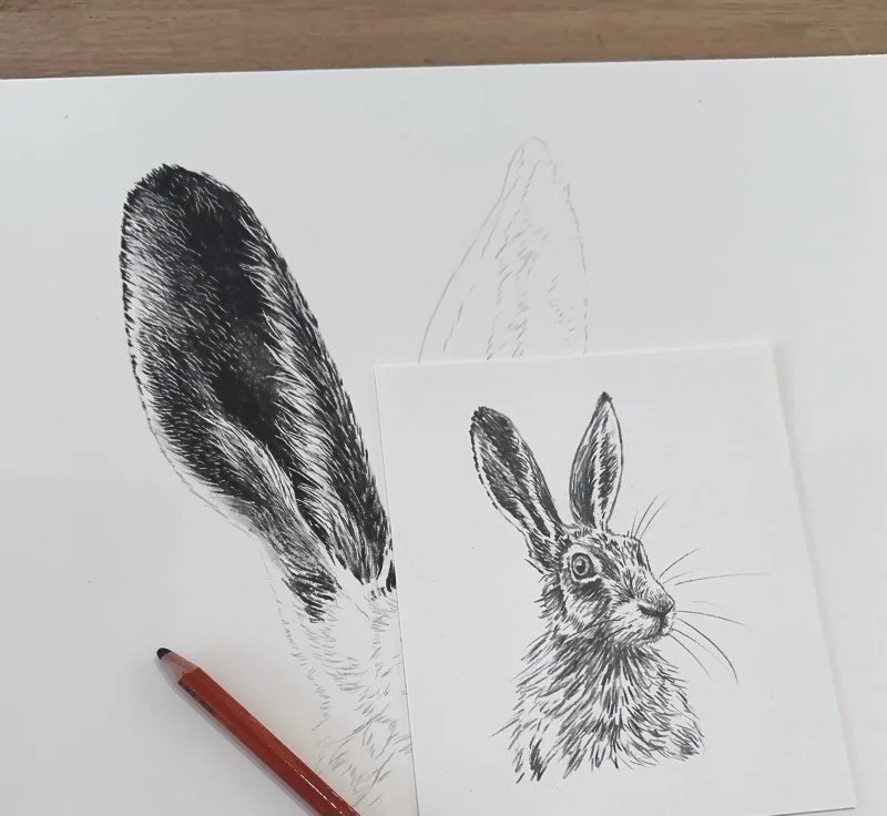 We have part of an ear!