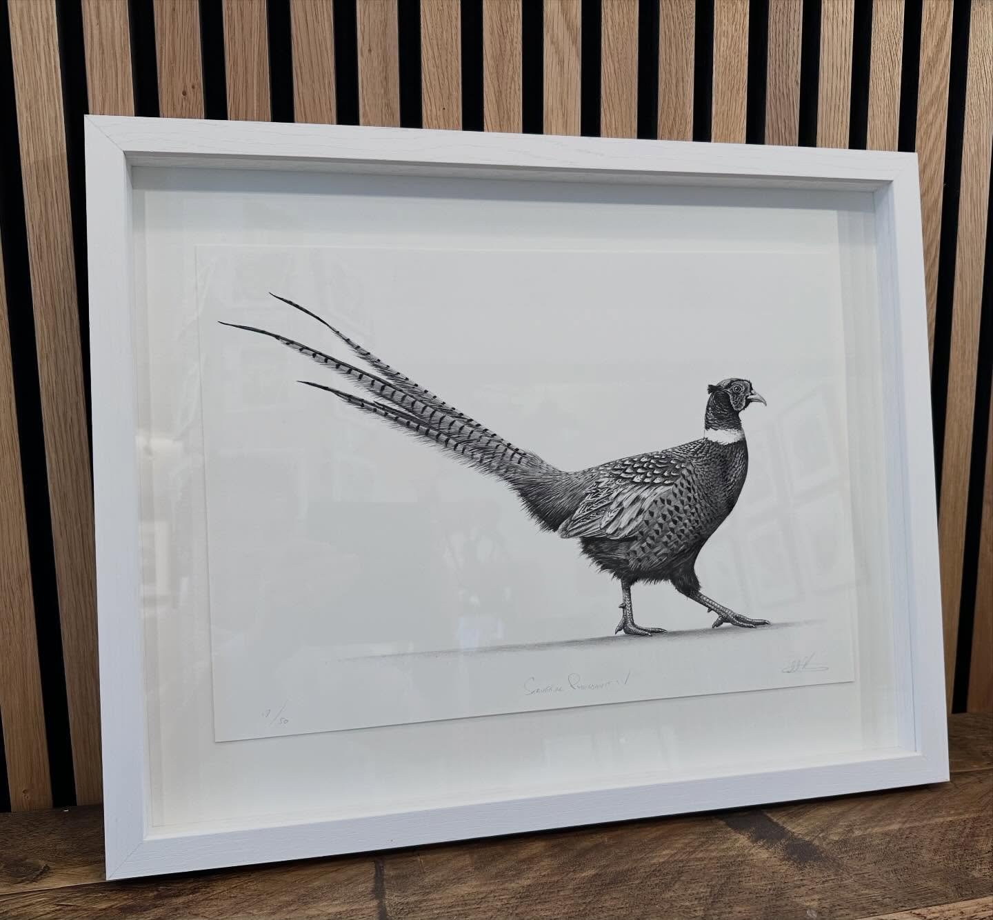 Strutting Pheasant limited edition print. I decided to float mount this one, just to do something different