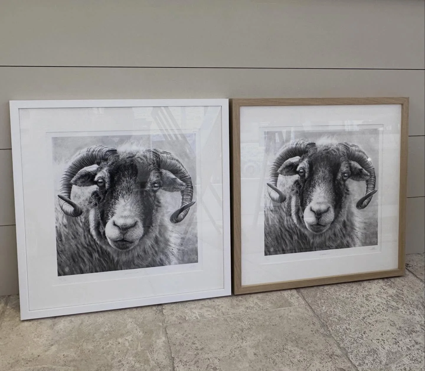 It&rsquo;s fascinating how a simple frame can dramatically transform a picture&rsquo;s look and feel. &ldquo;Swaledale Ewe III&rdquo; in a white and an oak moulding.