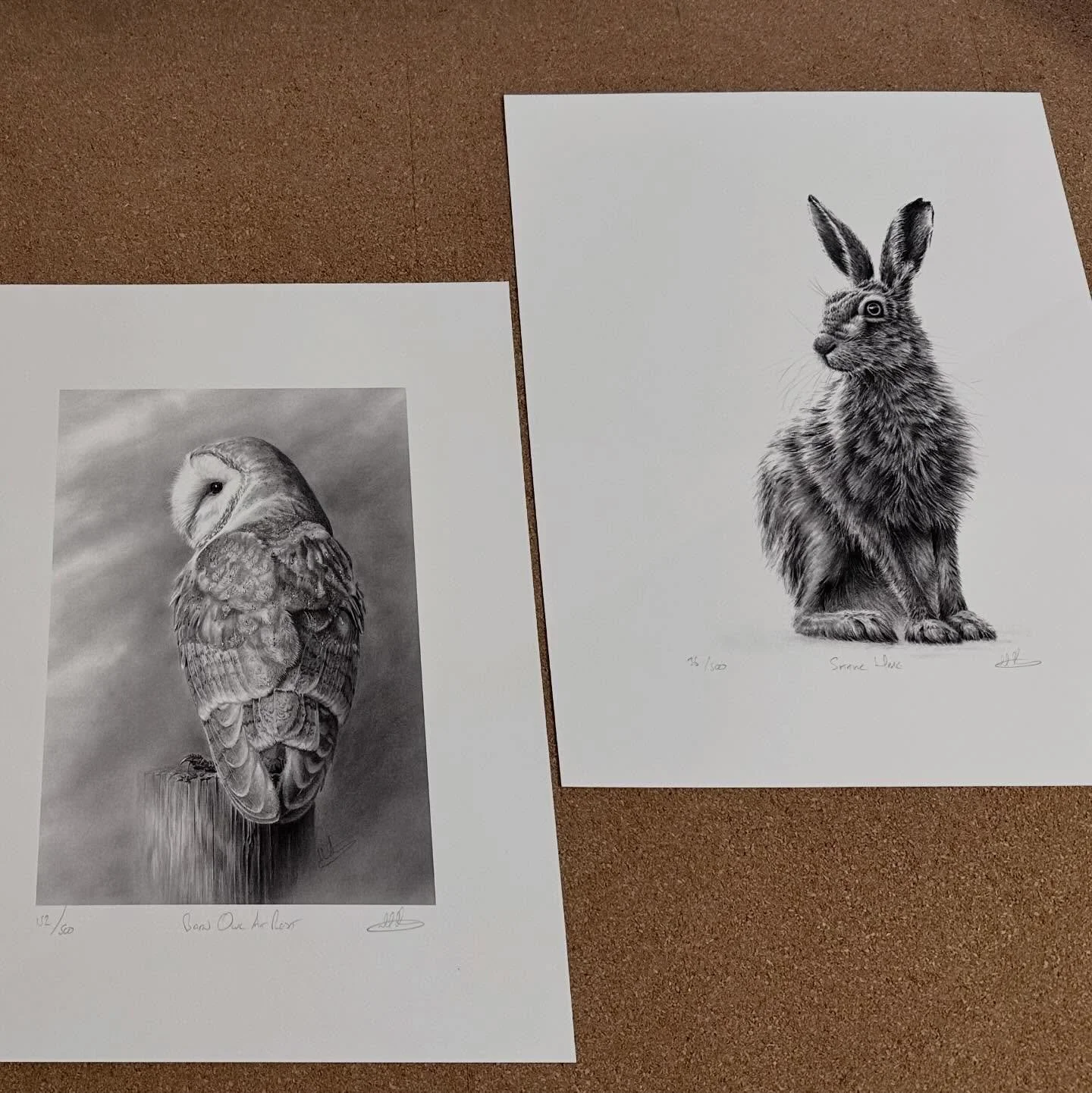 &lsquo;Barn Owl At Rest&rsquo; and &lsquo;Sitting Hare&rsquo; prints ready for mounting