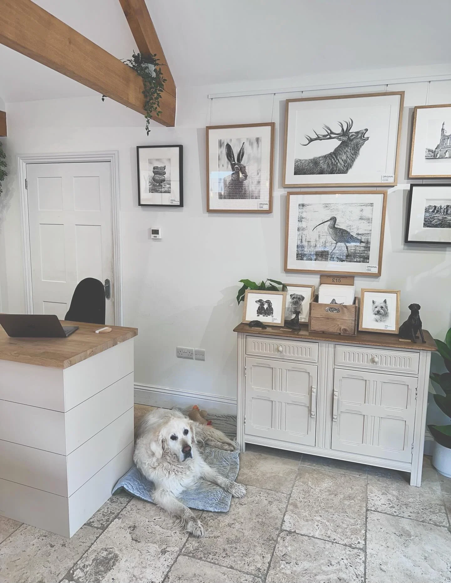 Murph is with me here in Helmsley. He&rsquo;s had his river walk and he&rsquo;s now out of it&hellip; until someone comes in!! Masham open as usual too today.