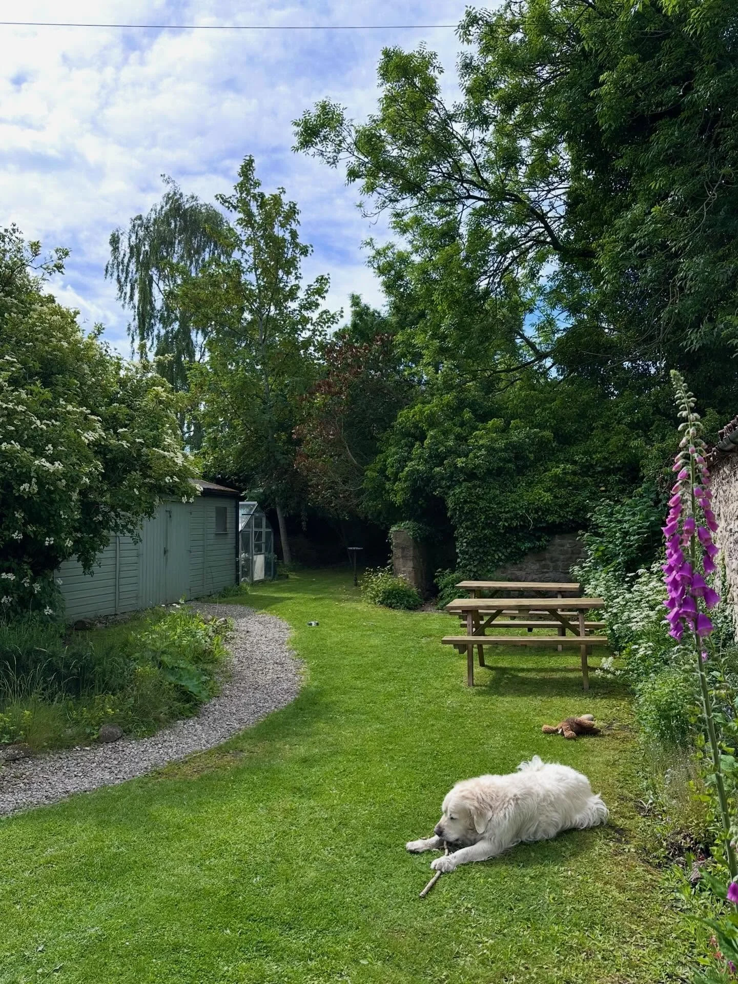 Always have to remember to clear all the chewed up sticks before cutting the grass at the gallery!!