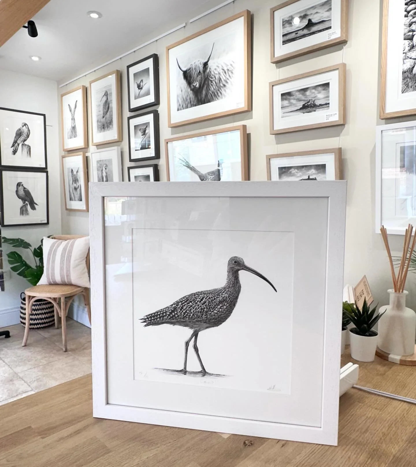 &lsquo;Curlew II&rsquo; limited edition print framed in white