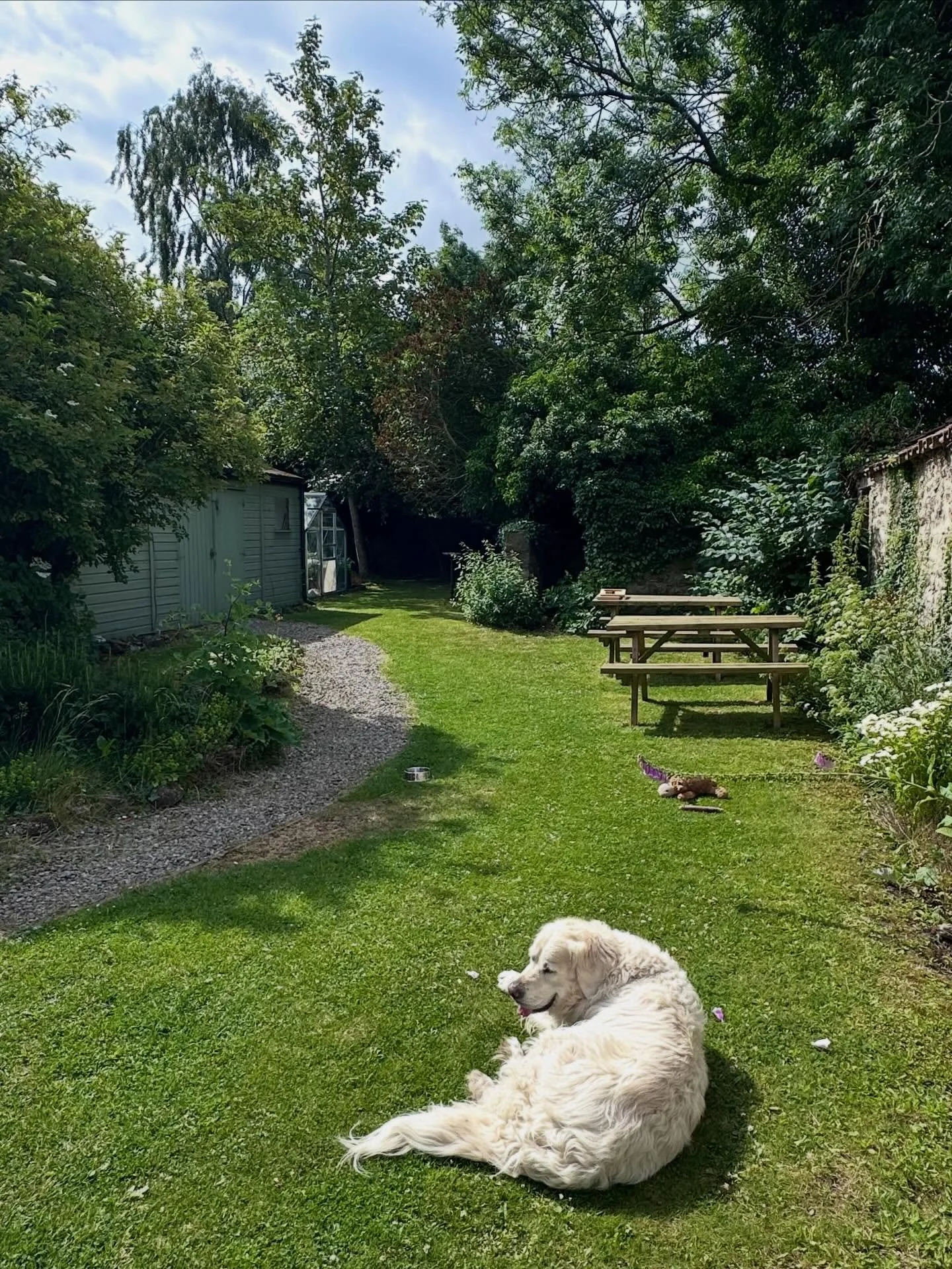 Murph has had enough already. Of course, inside the gallery is lovely and cool and he has a fan set pointing right at his bed, but he doesn&rsquo;t want to miss anything outside