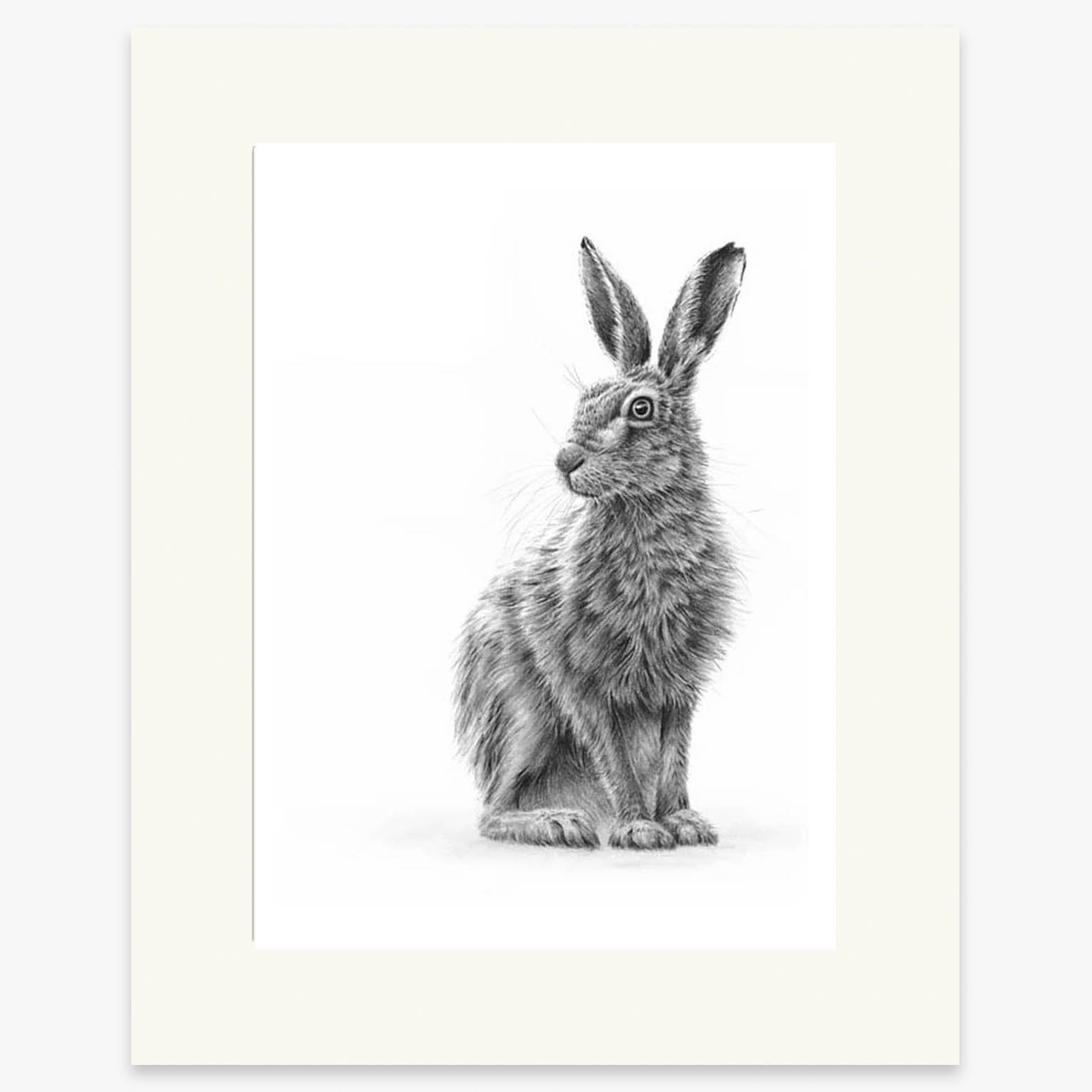 sitting_hare_1_mounted.jpg