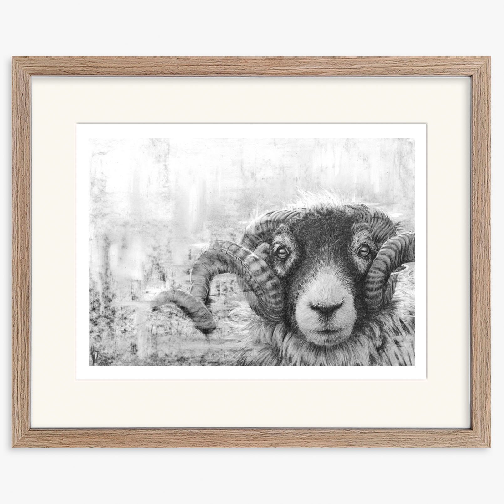 swaledale_tup_II_walnut.jpg