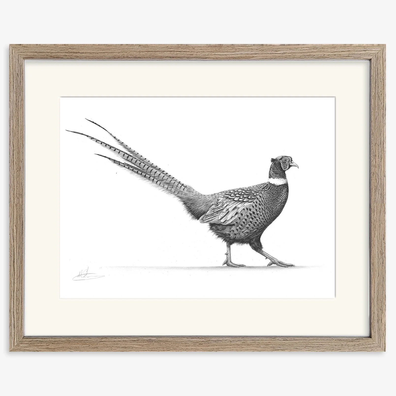strutting pheasant_IV_walnut.jpg