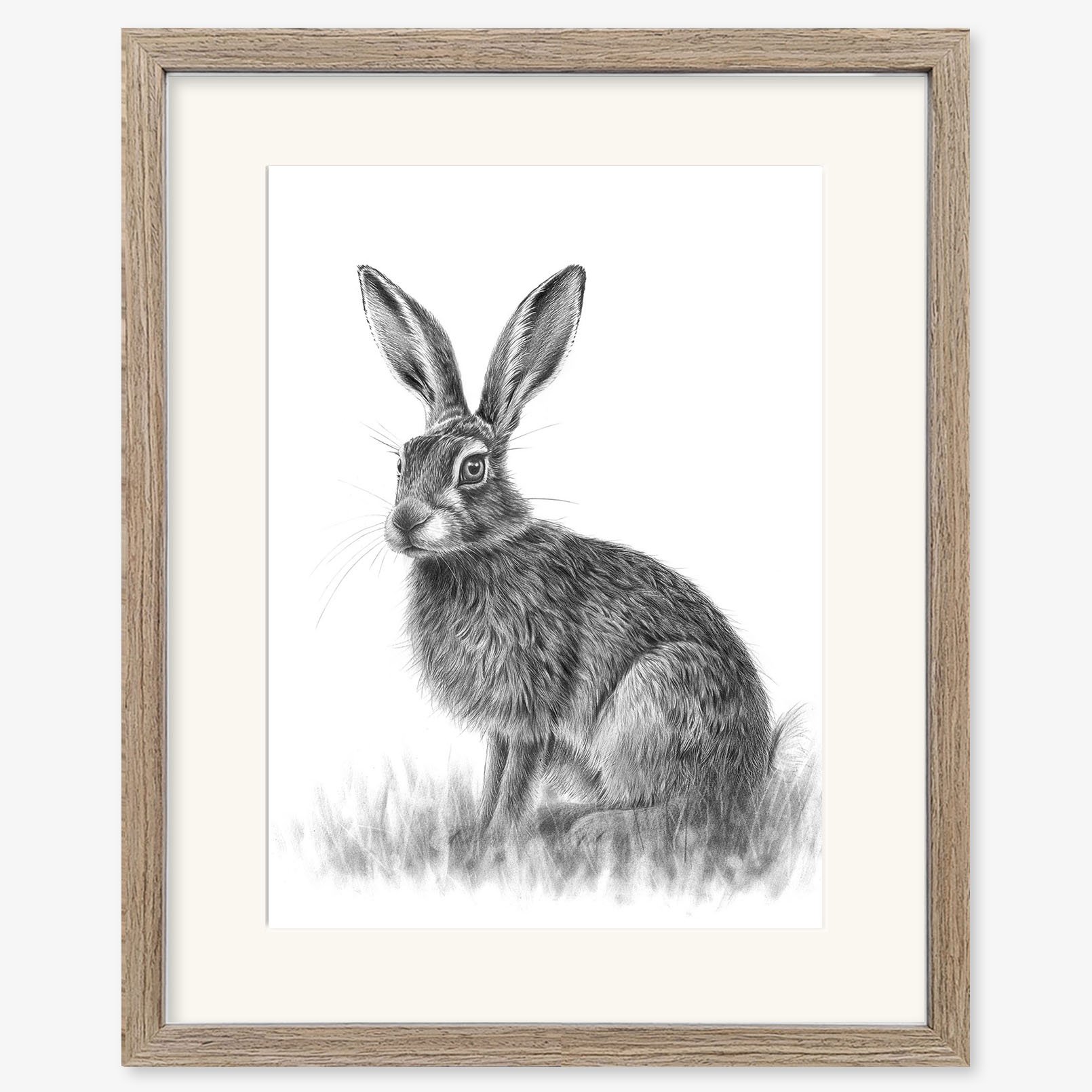sitting_hare_IV_walnut.jpg
