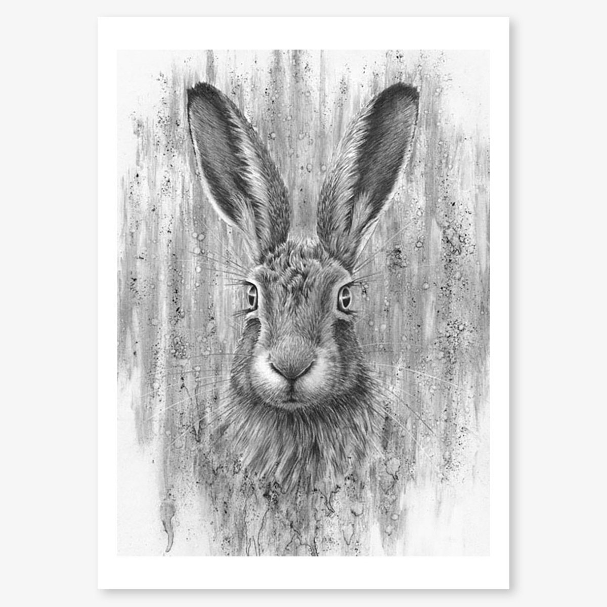 Brown_Hare_II_floating.jpg