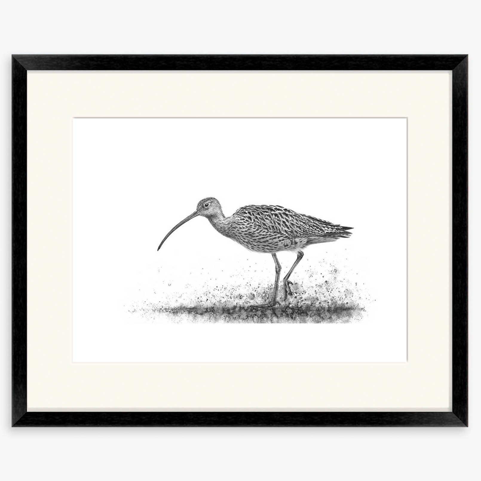 curlew-wading-I_black.jpg