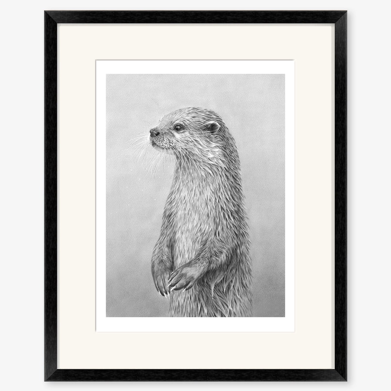 Otter_standing_black.jpg